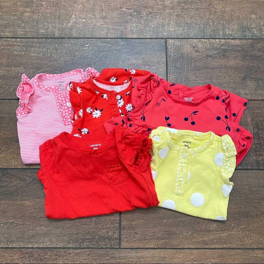 Carter’s Baby Girl 9 months bundle